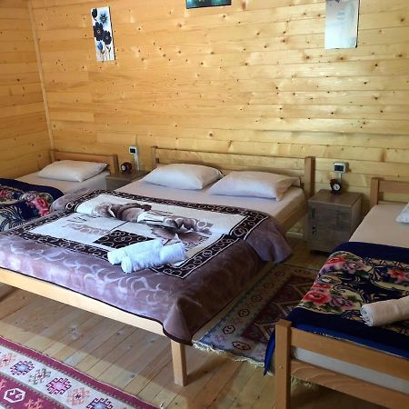 Valbona Villa Экстерьер фото